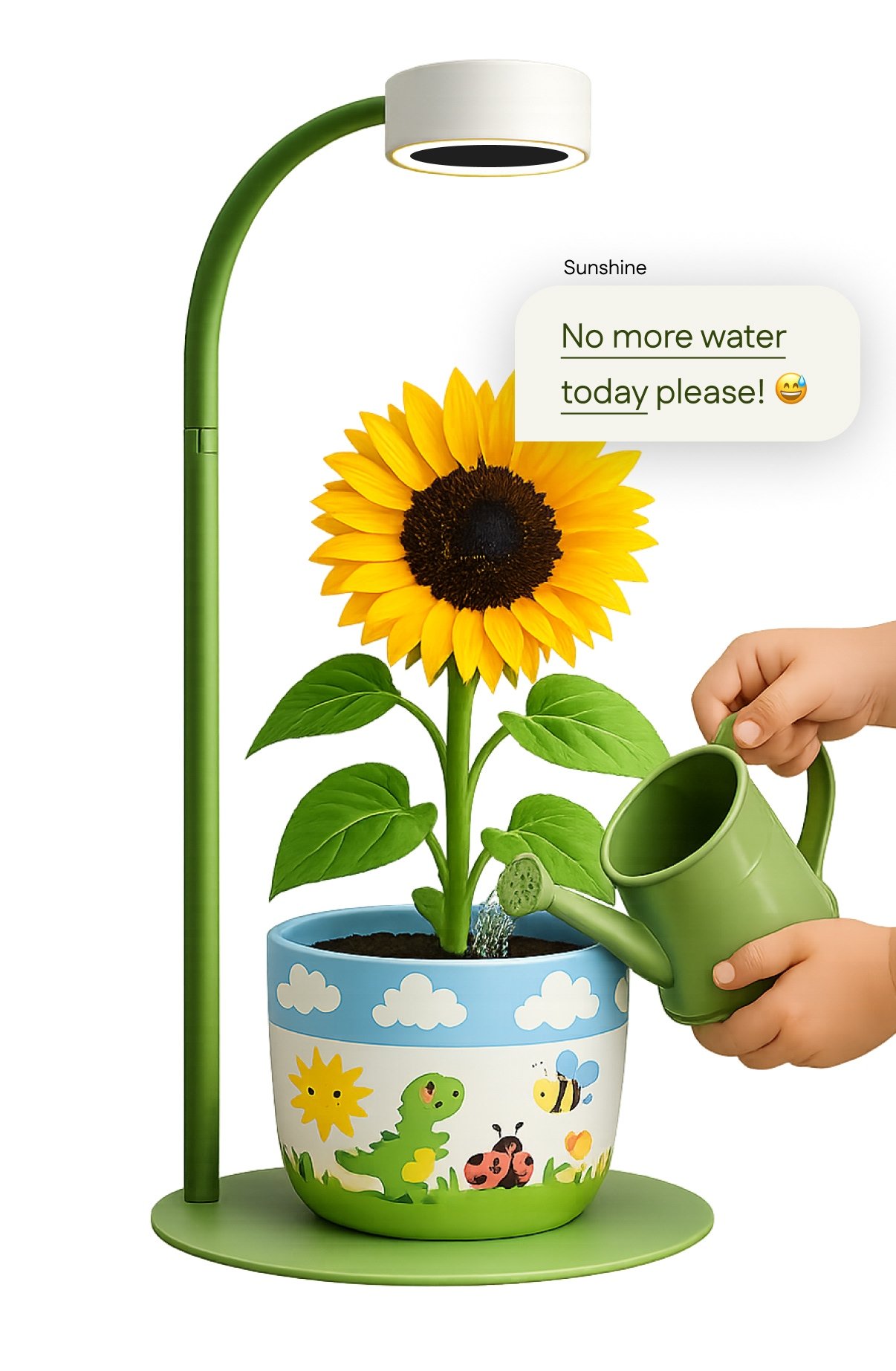 Child watering a sunflower under the Hi Sprout grow lamp